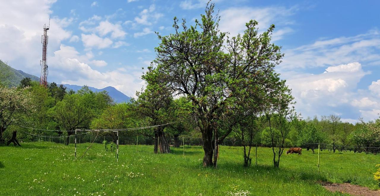 Villa Katharina Bran 브란 외부 사진
